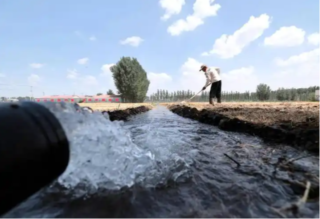 采取活跃措施经过调度水源抗旱喷防等方式竭尽全力保夏收 采取活跃措施经过调度水源抗旱喷防等方式竭尽全力保夏收